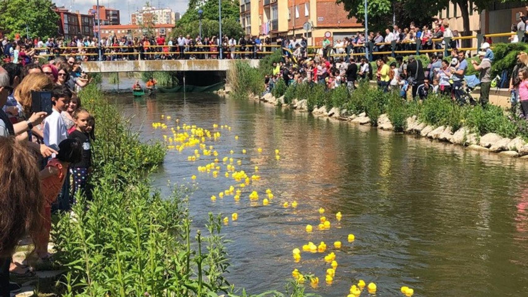 carrera patitos goma esgueva valladolid 1