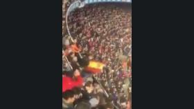 Un aficionado saca la bandera de España en el Camp Nou