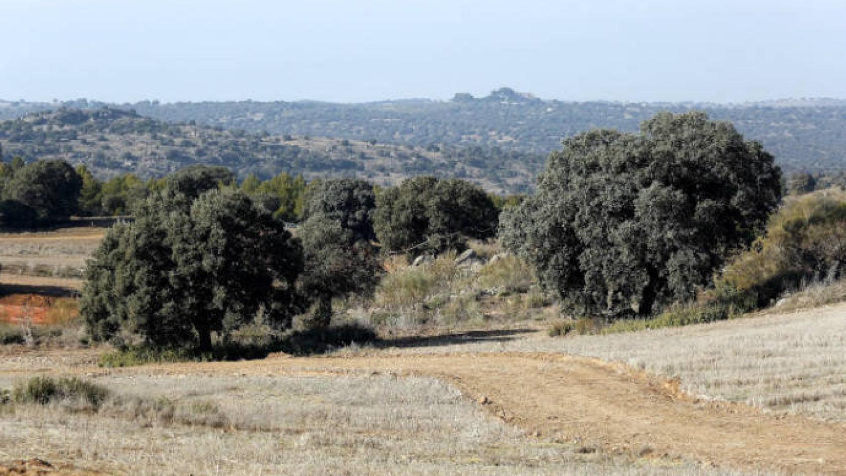 Finca Zurracaín donde se construirá el parque. Foto: Óscar Huertas