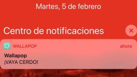 Notificación que han recibido los usuarios de Wallapop