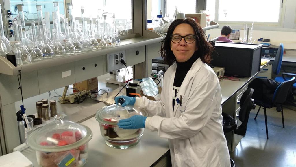 La química María Bernechea en su laboratorio.