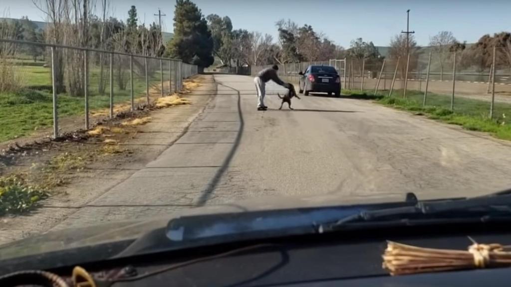 Captura del vídeo en el que se ve como un hombre abandona a su perro en Estados Unidos.