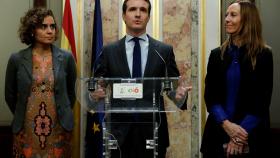 Pablo Casado, presidente del PP, en rueda de prensa en el Congreso.