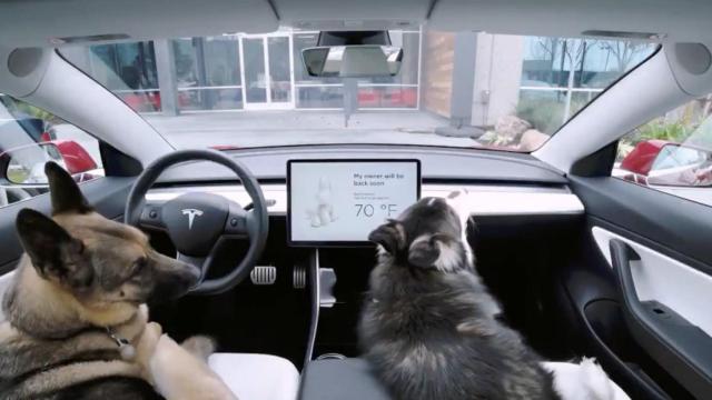 tesla modo perro 2