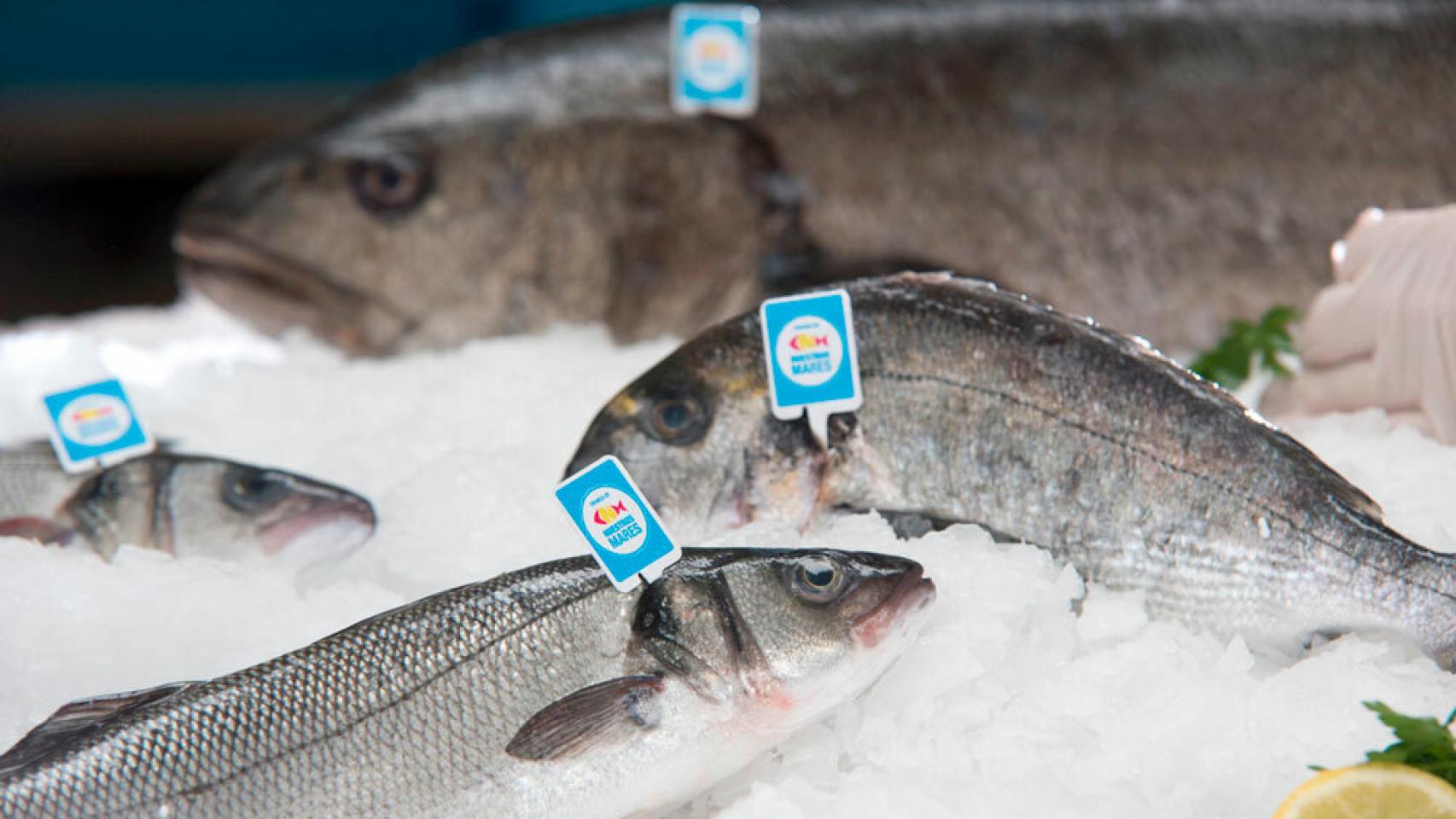 pescado-en-la-dieta-equilibrada