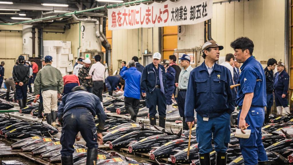 Mercado de pescado Tsukiji, Tokio, (2015) . Es el más grande del mundo y donde van toneladas de atunes rojos de España.