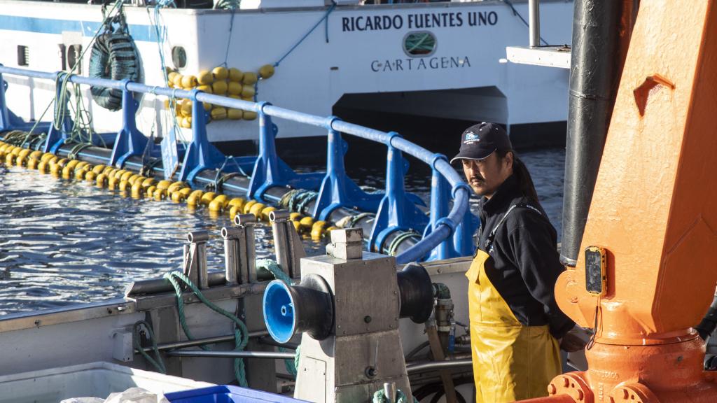 Nao es japonés y es el encargado del control de calidad de Ricardo Fuentes e Hijos.