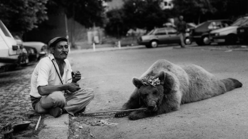 Oso búlgaro y su dueño