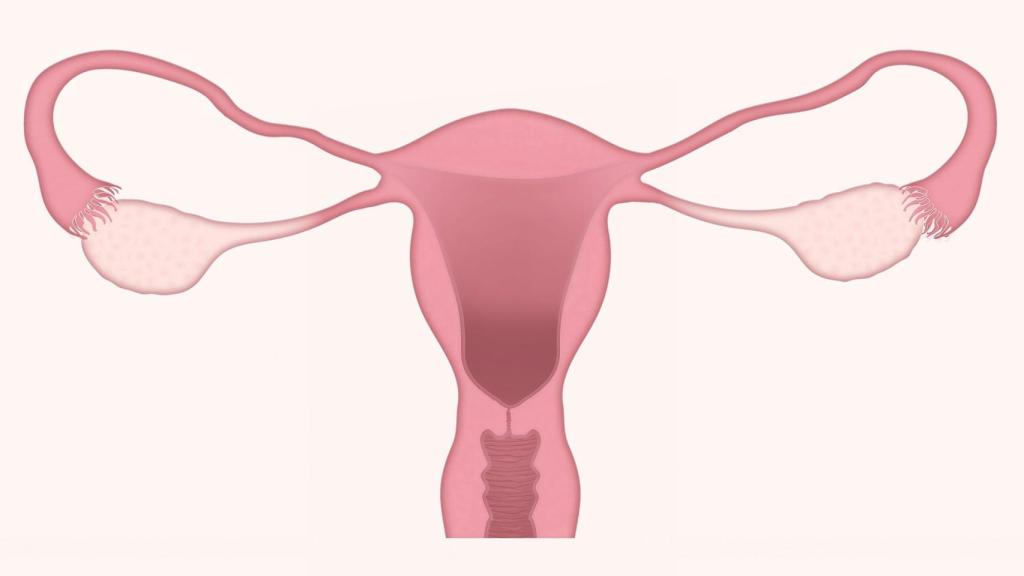 Mantener una vagina sana es indicativo de salud