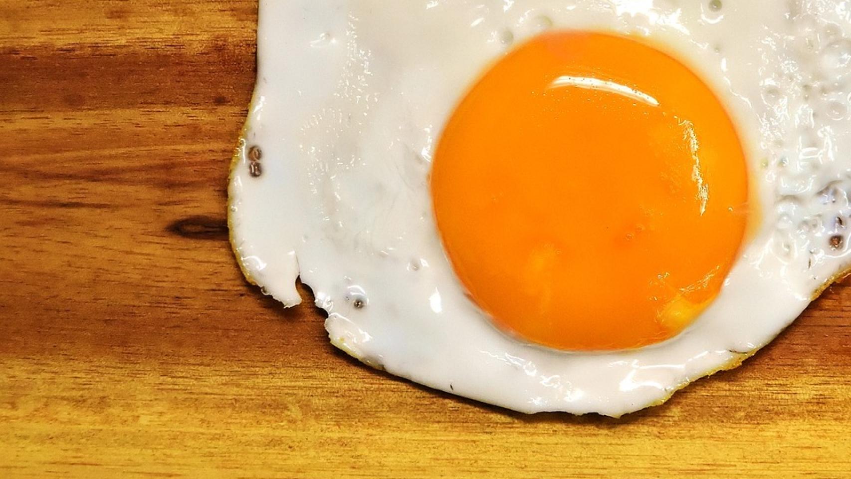 Los huevos son alimentos muy ricos en proteínas.