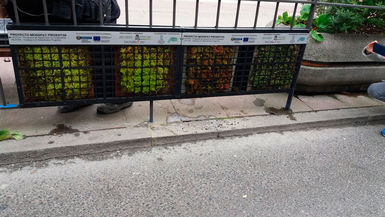 Uno de los paneles vegetales en las calles de Vitoria. Tecnalia