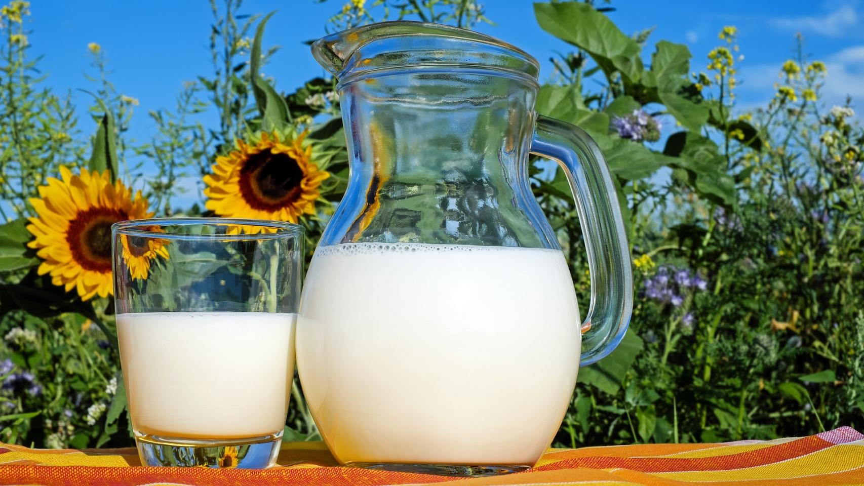 Existen muchos tipos de leche en el supermercado