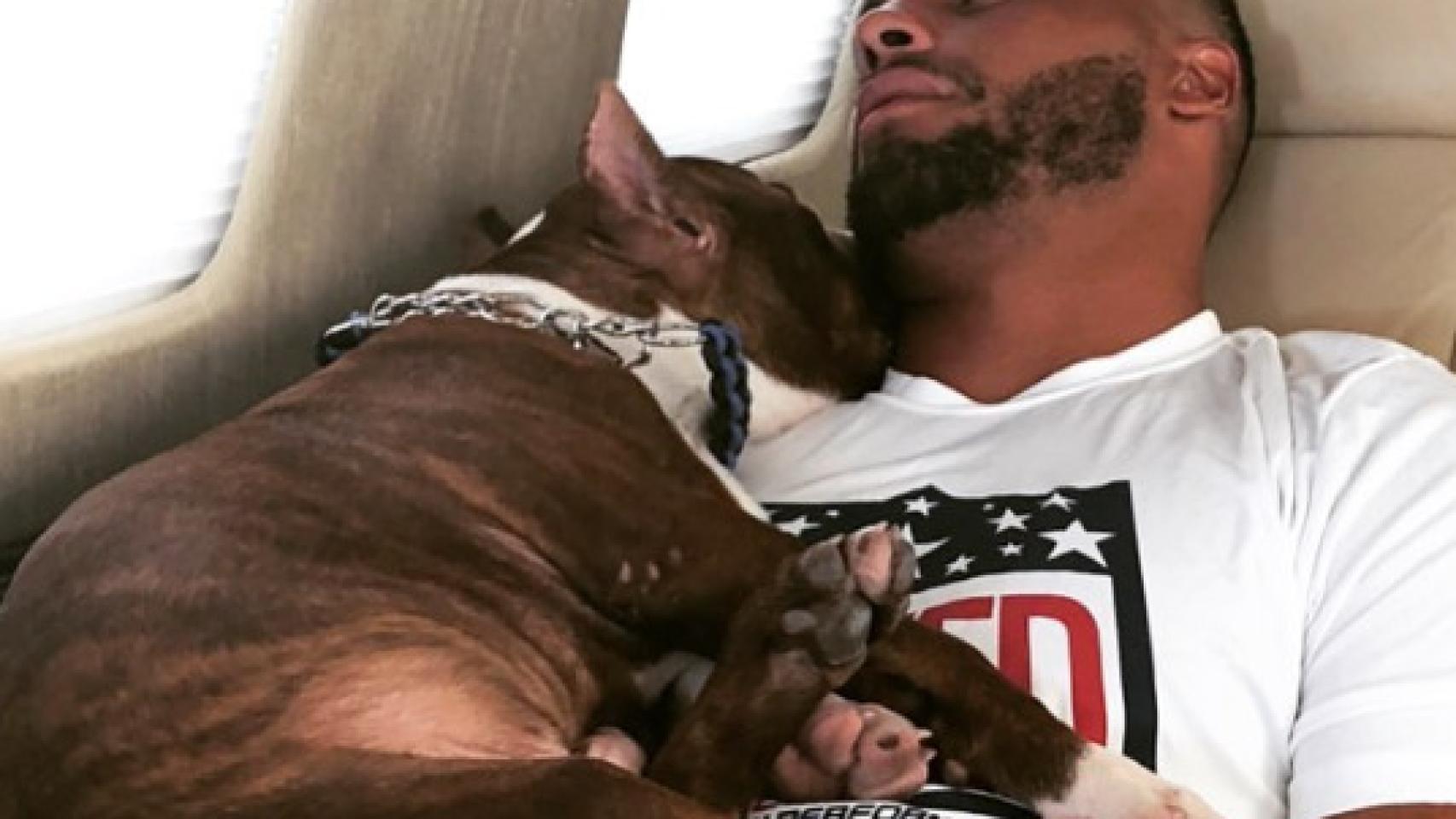 Dak Prescott con su perro. Foto: Instagram (@_4dak)