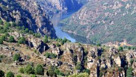 zamora arribes del duero