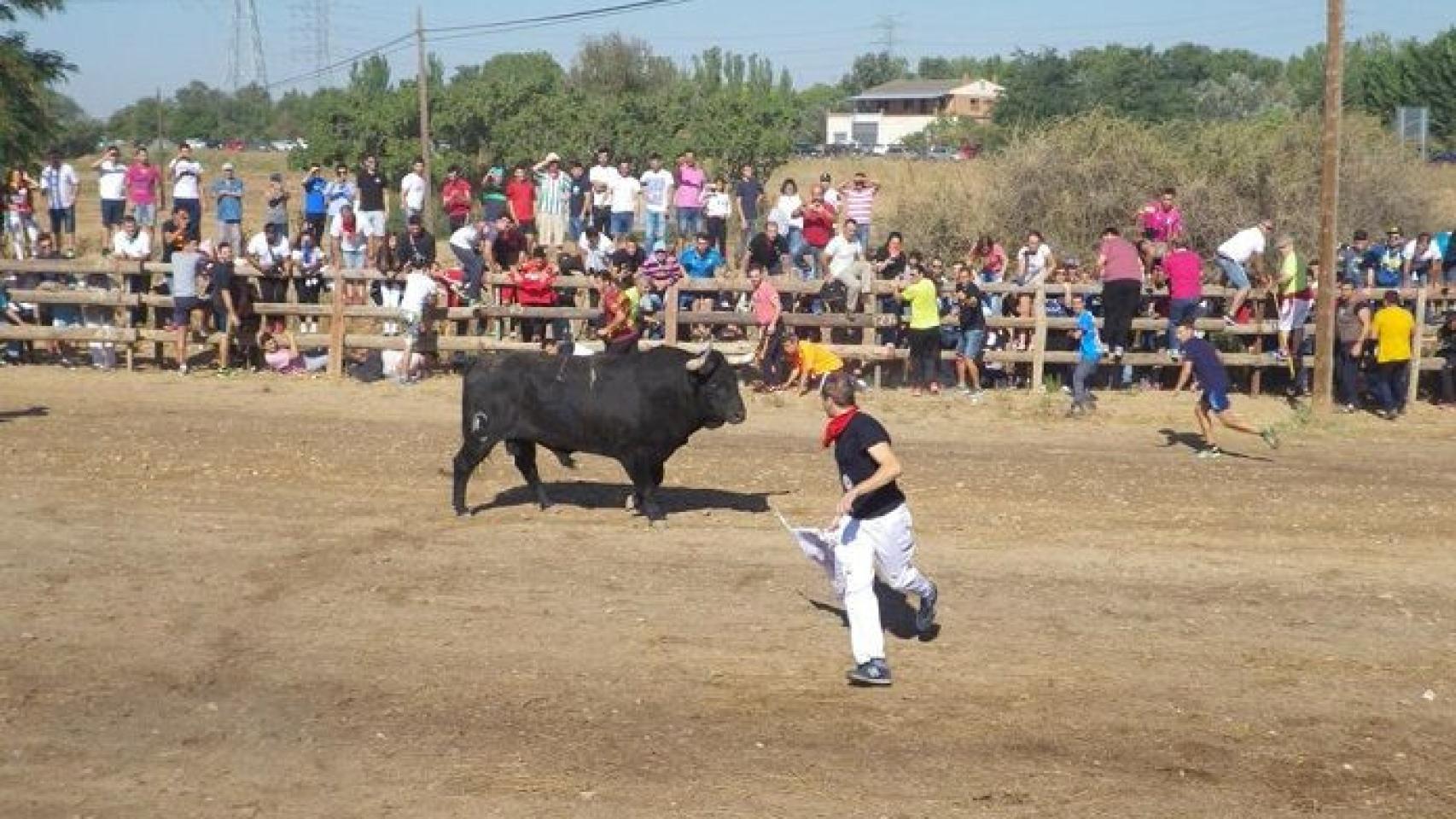 Castilla y León