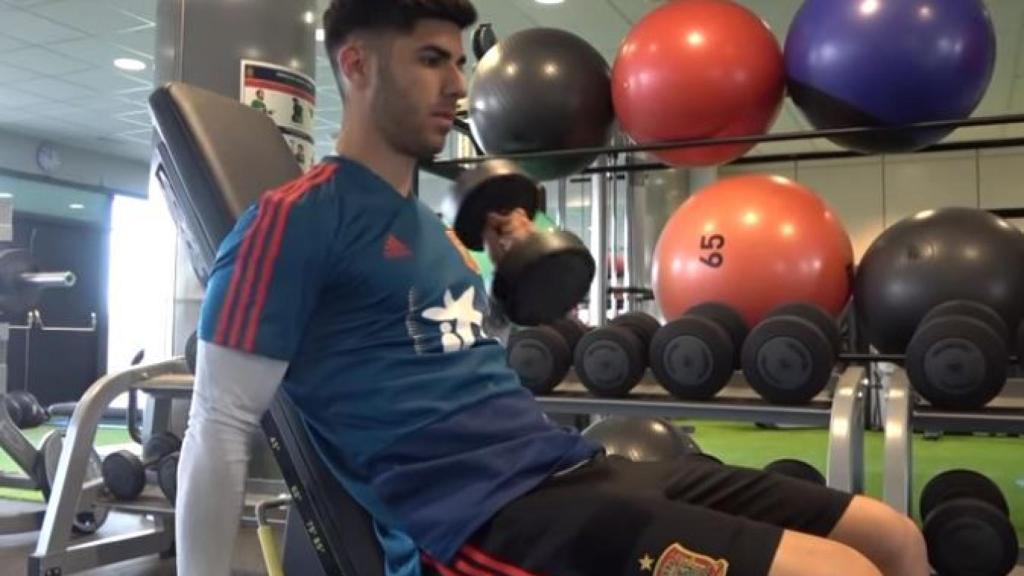 Marco Asensio se ejercita en el gimnasio durante su concentración con la selección española.