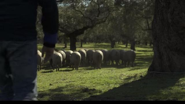 Jamón Joselito, una historia de película en el Festival de Cine de  Málaga