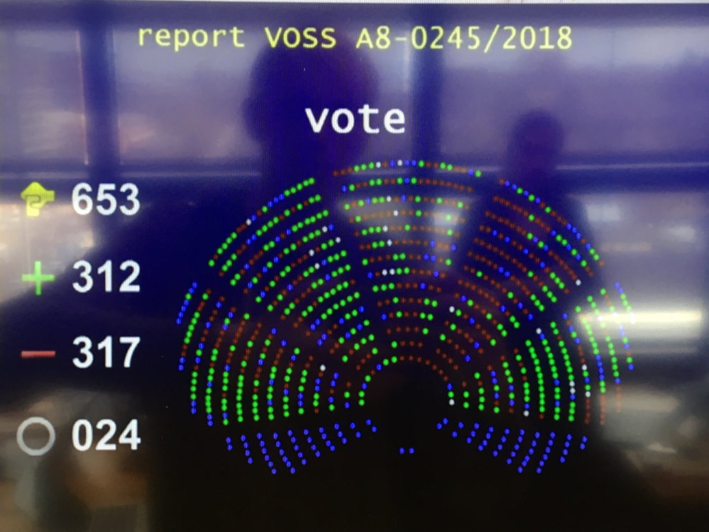 votacion europea 1