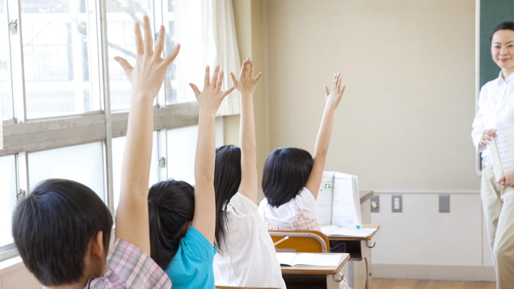 a partir del quinto curso del primer ciclo de educación primaria se estudiarán los principios básicos de programación.