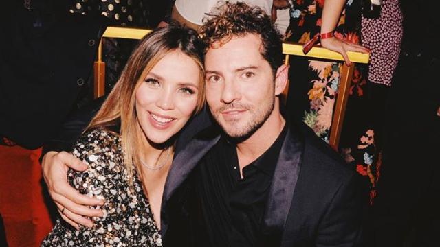 Rosanna Zanetti y David Bisbal serán padres en las próximas semanas.