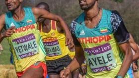 Los dos atletas de Etiopía. Foto: Twitter (@MigVillasenor)