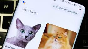 Google Assistant mejora sus respuestas haciéndolas más visuales