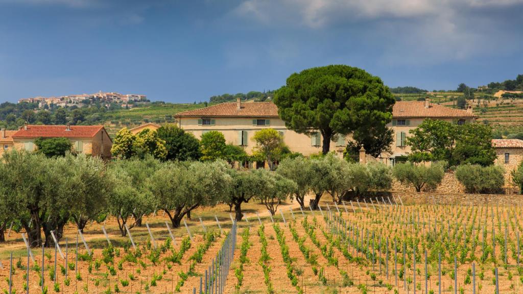 Una de las fincas en la Provenza de Domaines Ott.