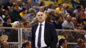 Pablo Laso, en el Gran Canaria Arena