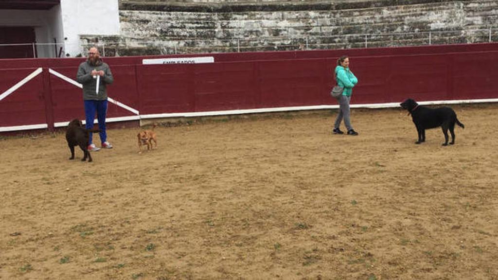 La plaza de toros de Estella (Pamplona) tiene una capacidad para 4.500 personas.