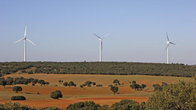 Un parque eólico de Acciona.