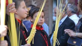 La Borriquilla Medina del Campo Domingo de Ramos 2017 (23)