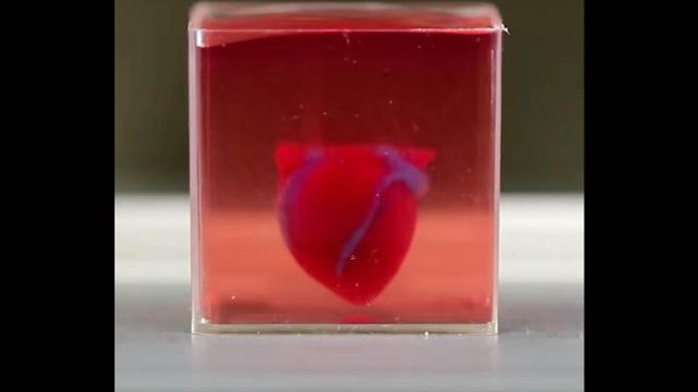 Primer corazón impreso en 3D