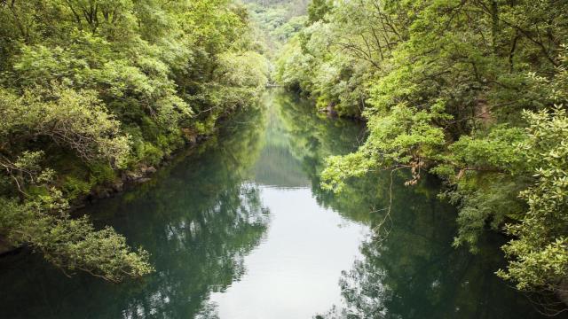 Imagen de las Fragas do Eume