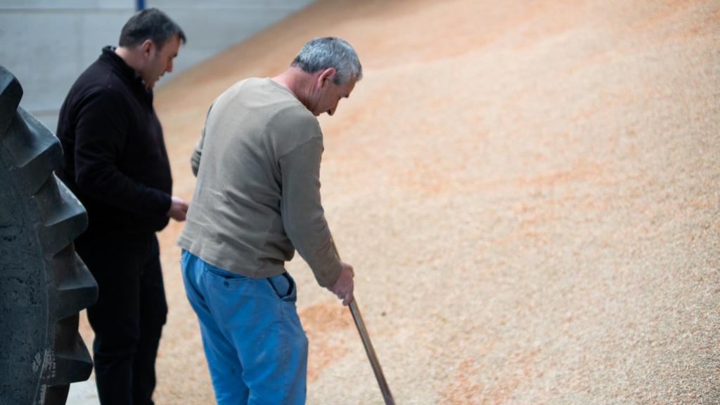 José Ángel, un agricultor de 53 años que vive preocupado porque sus lentejas no se venden.