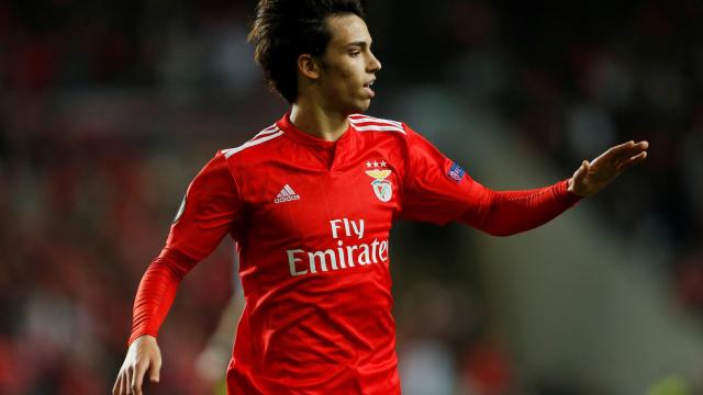 Joao Félix, en un partido con el Benfica