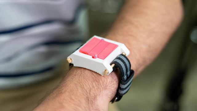 wearable alergias 1