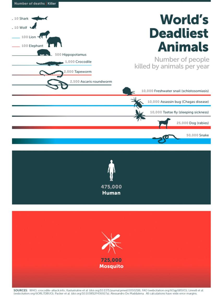 Graficos-animales-mortales