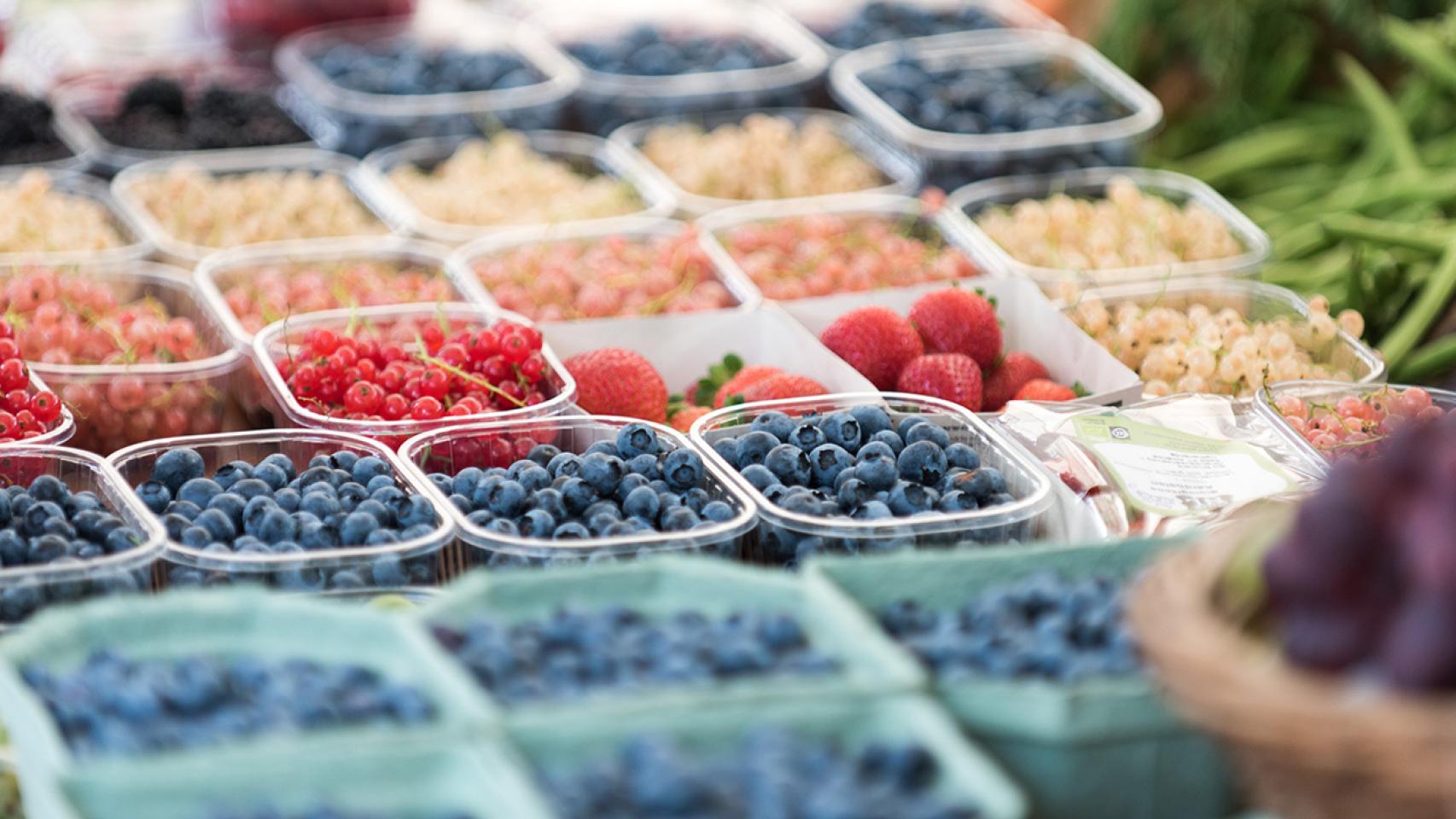 Unos 1.300 millones de toneladas de alimentos se pierde o desperdicia.