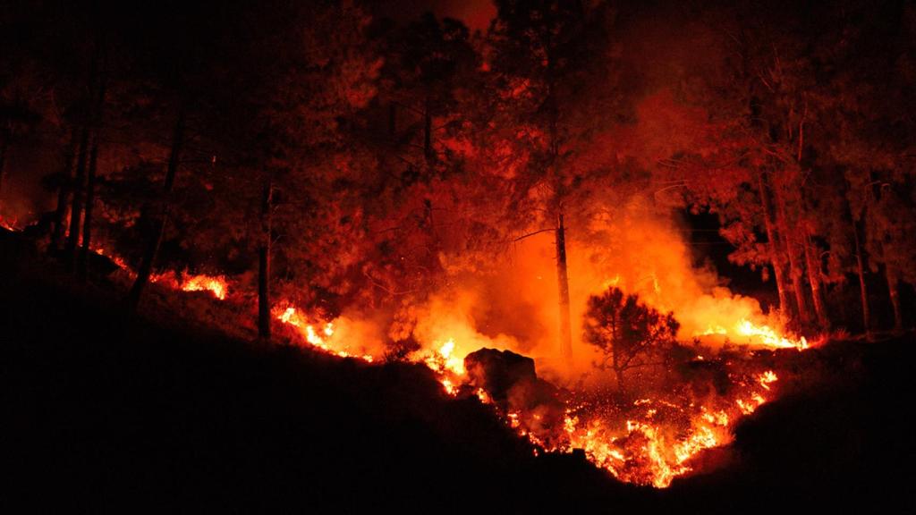 Un robot ‘bombero’ compacto y capaz de detectar un incendio