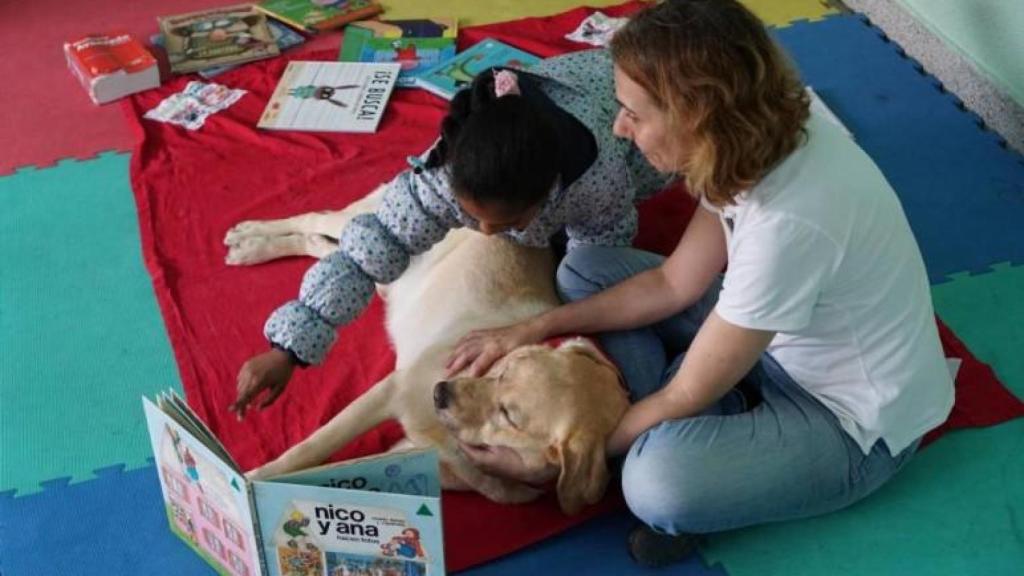 Léele un cuento a tu perro: Una iniciativa pionera en A Coruña para los más pequeños