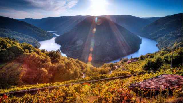 Cañón del Sil, en la Ribeira Sacra.