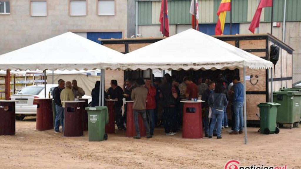 feria mayo 2018 ciudad rodrigo (48)