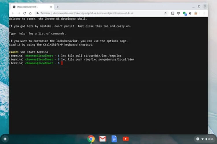 chrome os linux 2