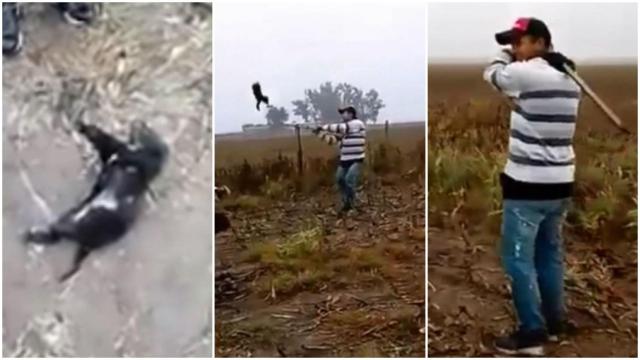 Vídeo difundido en redes sociales denunciando a los maltratadores