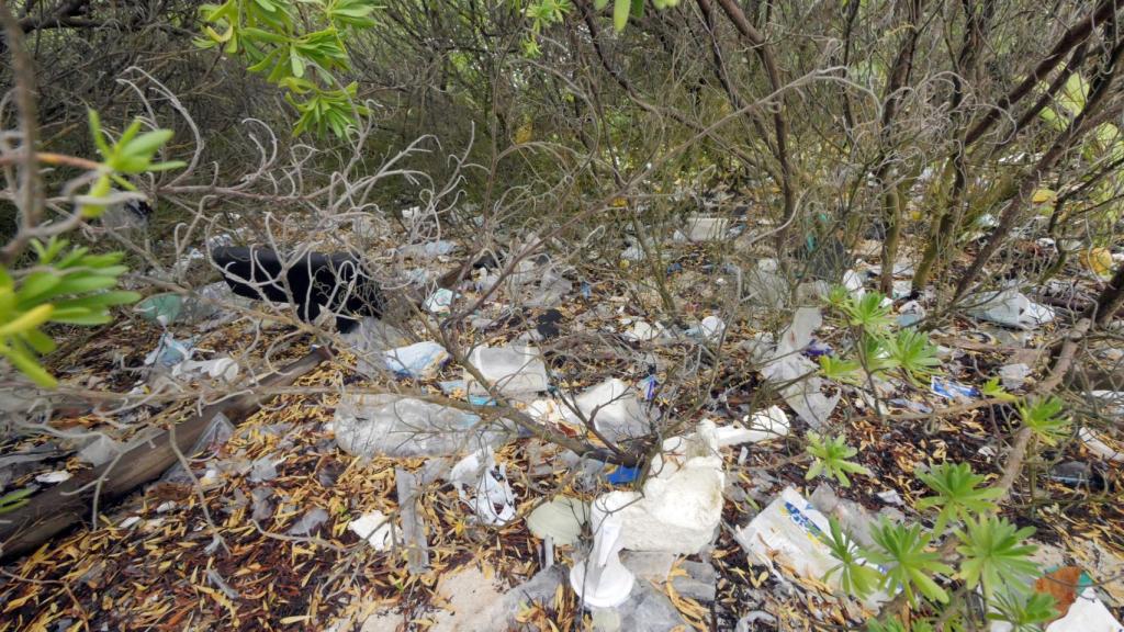 Vegetación con plásticos en una de las islas.