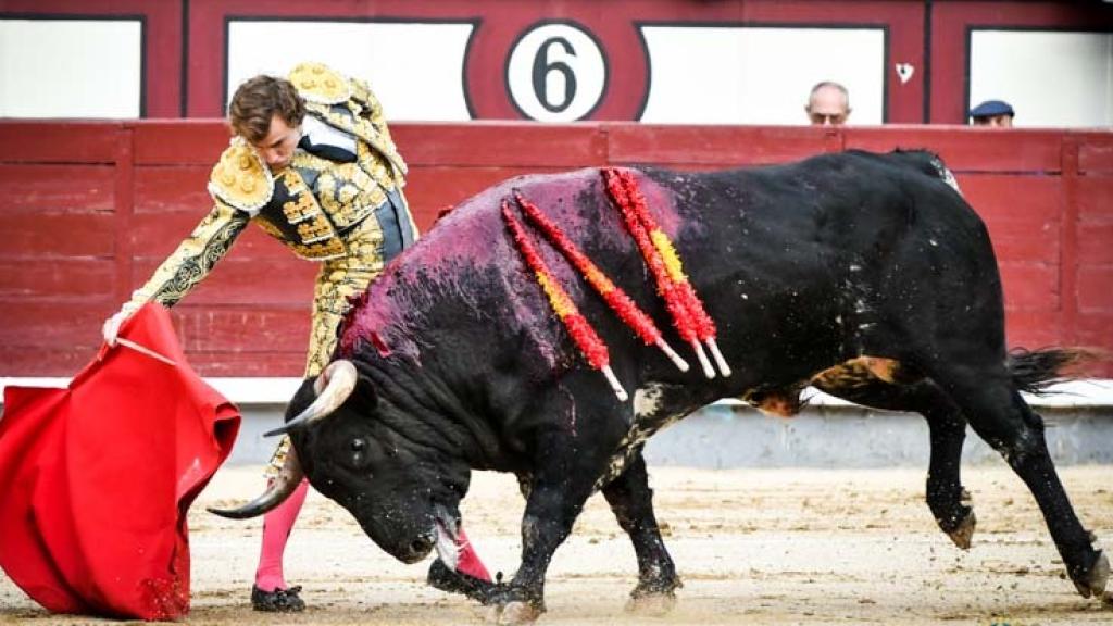 Derechazo de Román al alto sobrero de Torrealta