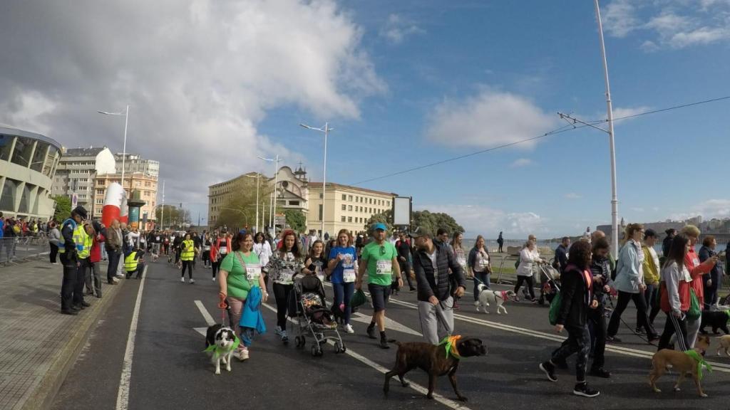 Así fue el Correcan: 4.000 euros para los perros sin hogar en A Coruña