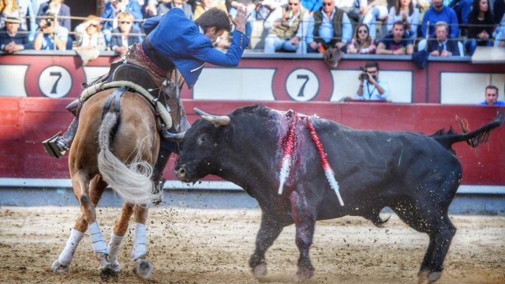 Más alla de las orejas: importante Galán