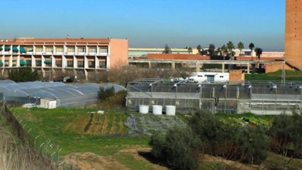 Universidad de Sevilla