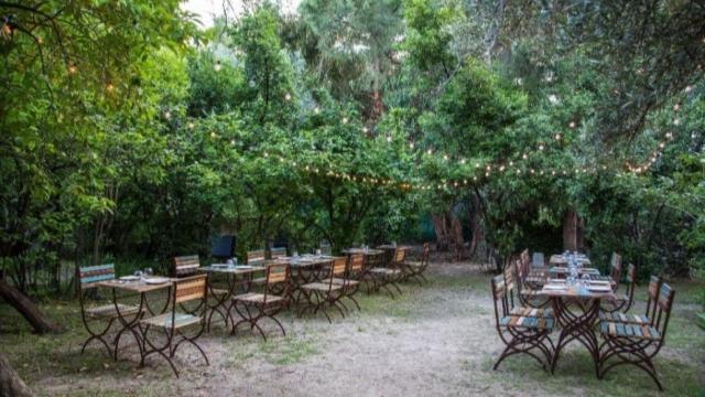 Vuelven las cenas en el Olivar de Castillejo, el oasis de la capital